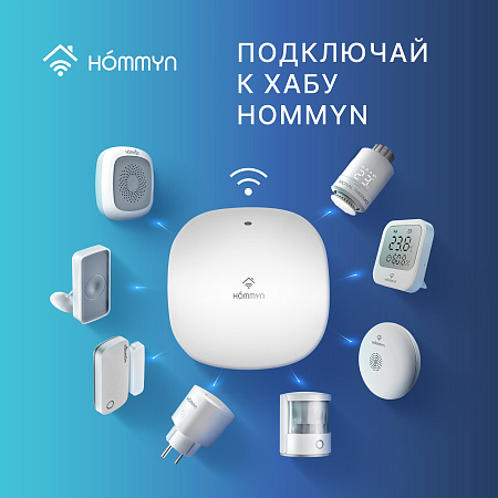Датчик температуры и влажности HOMMYN HTSZ-01